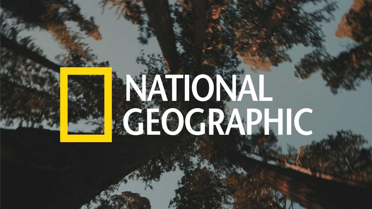 National Geographic // Sequoia